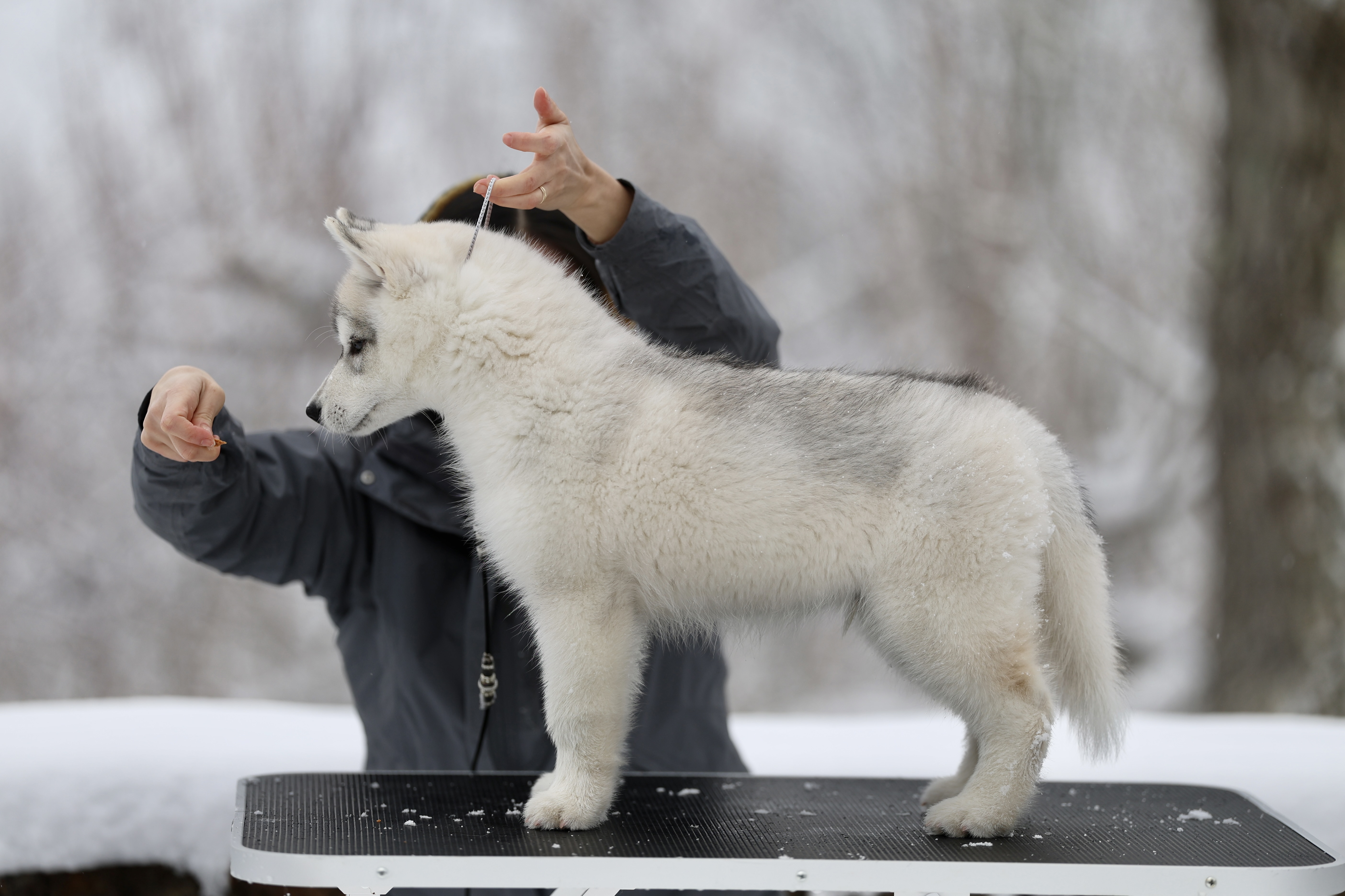 Photo of Livewire's Suit & Tie At Songbird