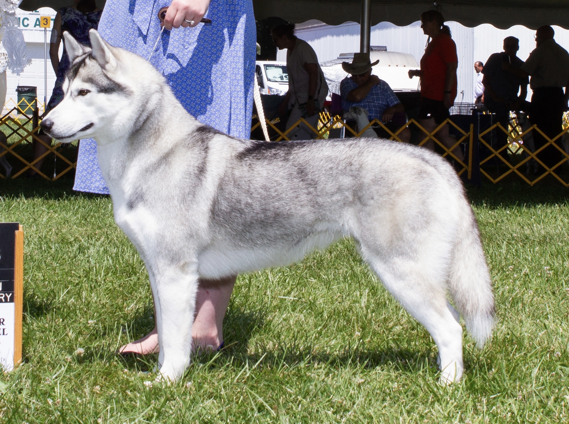 Photo of Highlander’s Norse Goddess