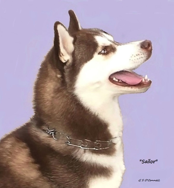 Photo of Talocon's Red Sky at Night