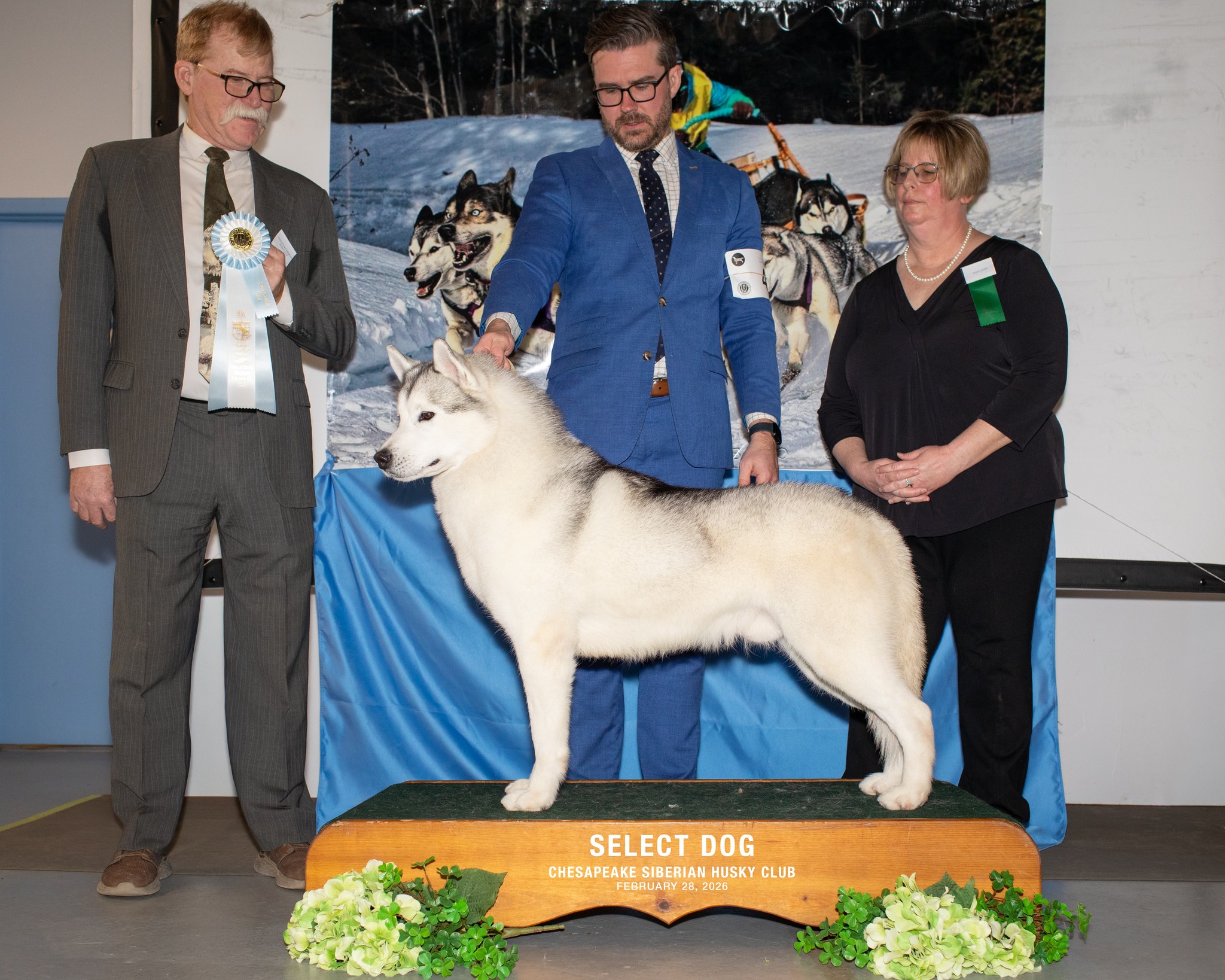 Photo of Polaire's Golden Hour