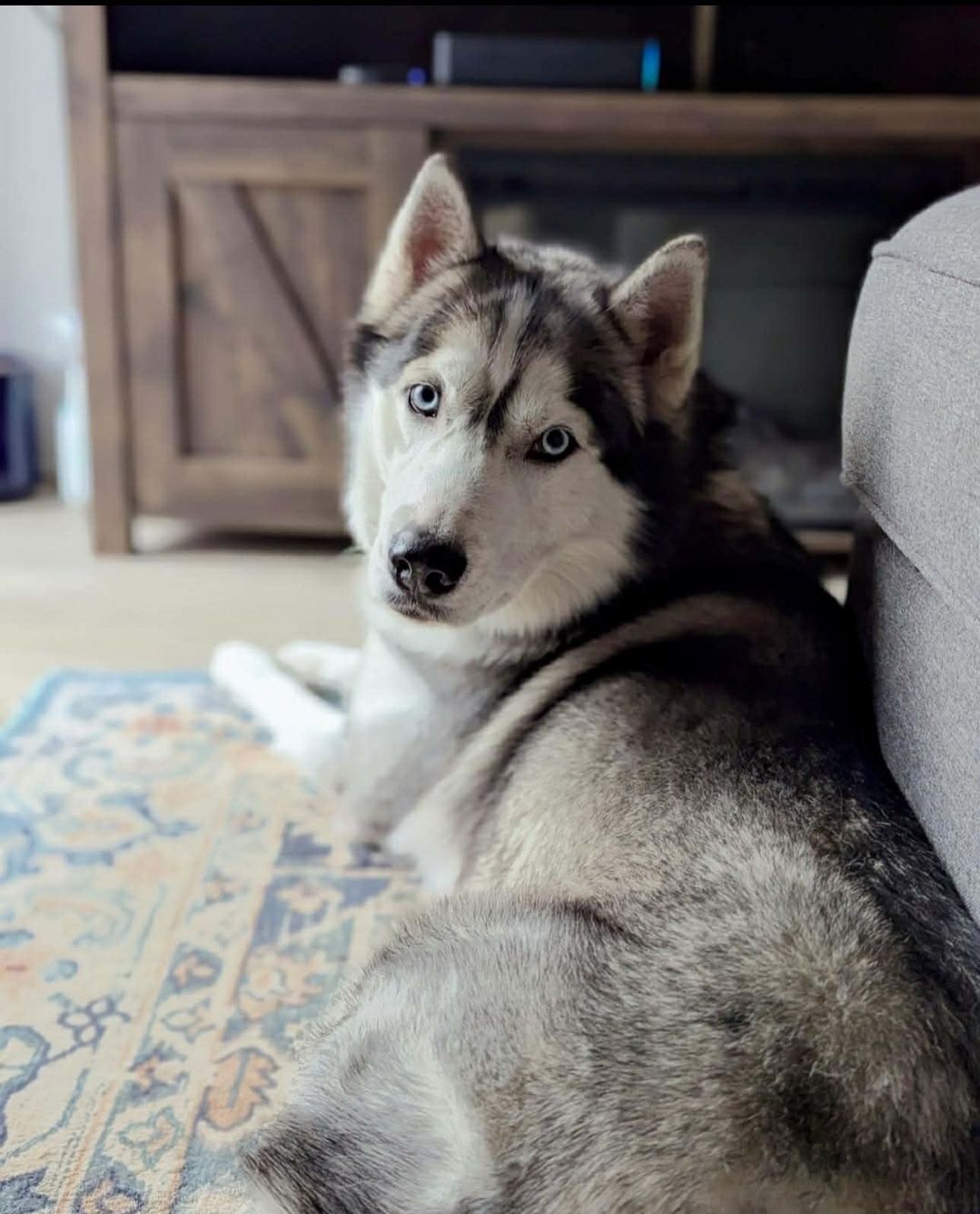 Photo of Apollo Aleksandr Maldonado Finnemore