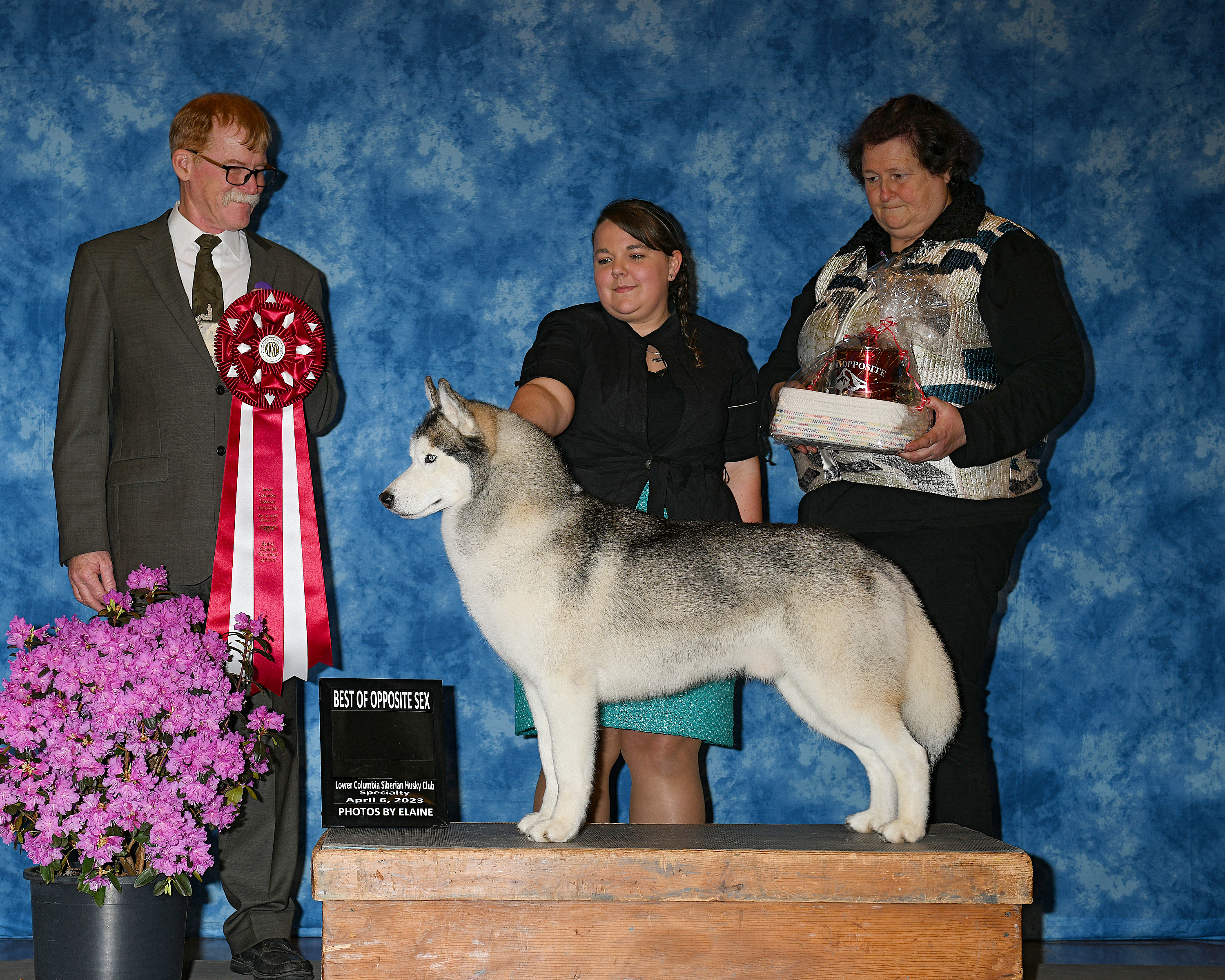 Photo of Silverfalls Meant To Be