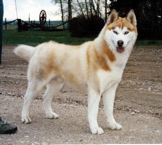 Photo of Kaylenberg's Watch Your Back