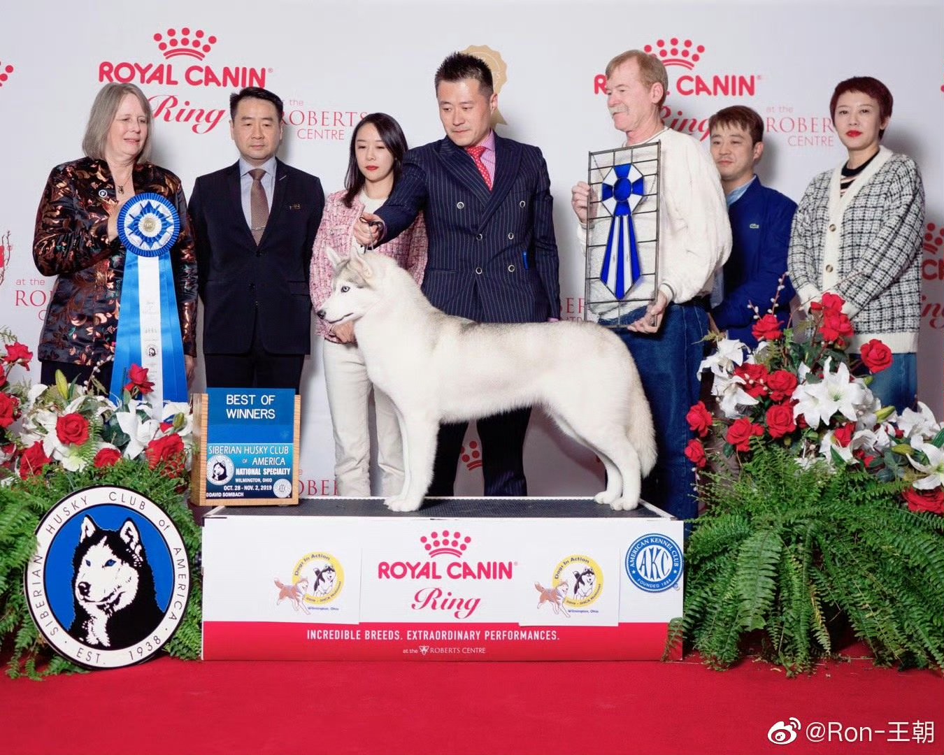 Photo of Dynasty RC As Good As It Gets