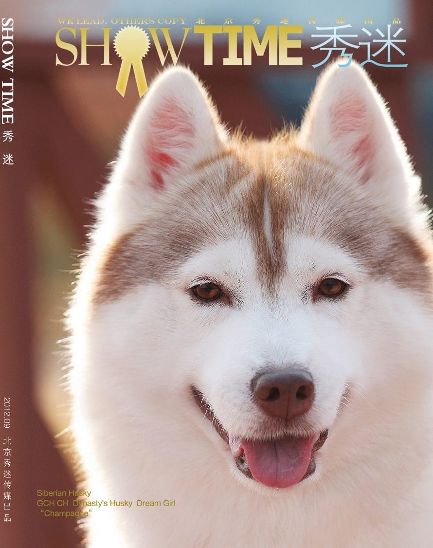 Photo of Dynasty's Husky Dream Girl