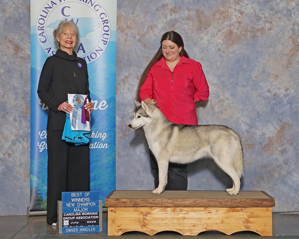 Photo of Ninkasi's Deep Future Outlaw