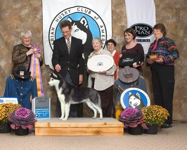 Photo of Kontoki's Gladys Knight