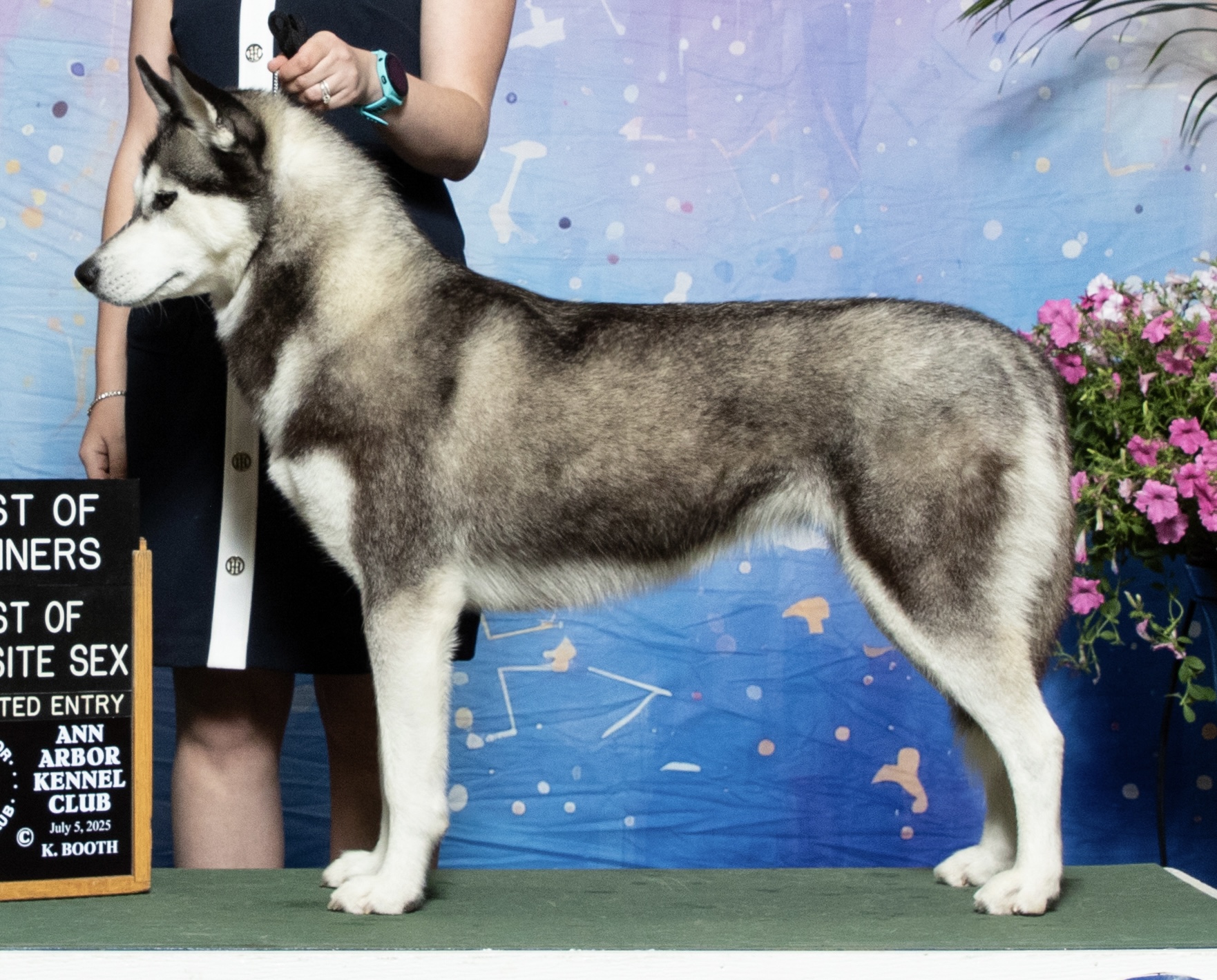 Photo of Highlander’s Whispered Secret