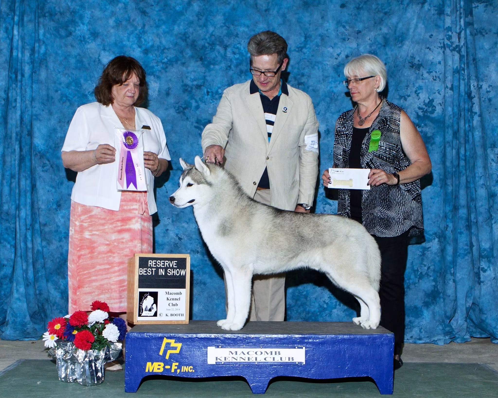Photo of Dynasty's Husky Lucky Strike