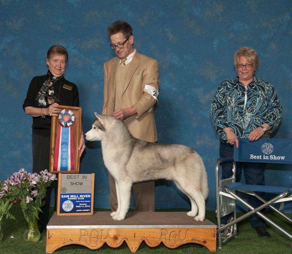 Photo of Kontoki's Isaiah Little Prayer For You