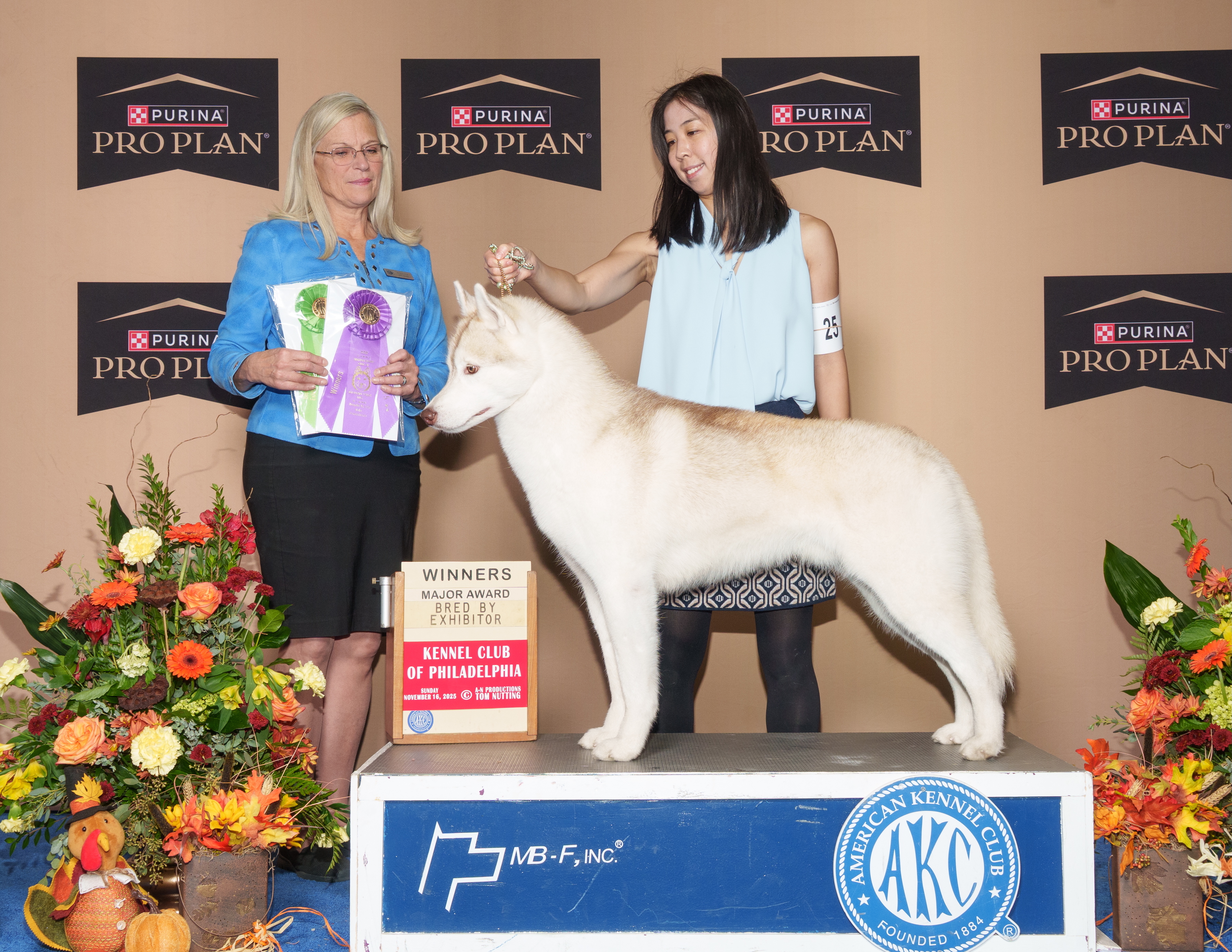 Photo of Songbird's Jack Straw