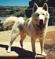 Photo of Kaylenberg's Slickrock