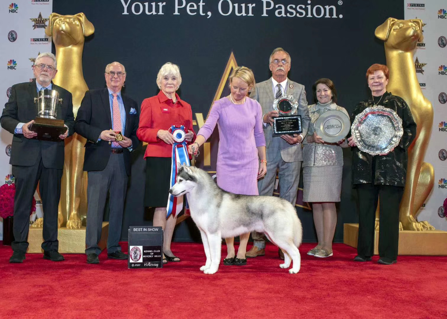 Photo of Sharin Nick of Dynasty RC Kennel