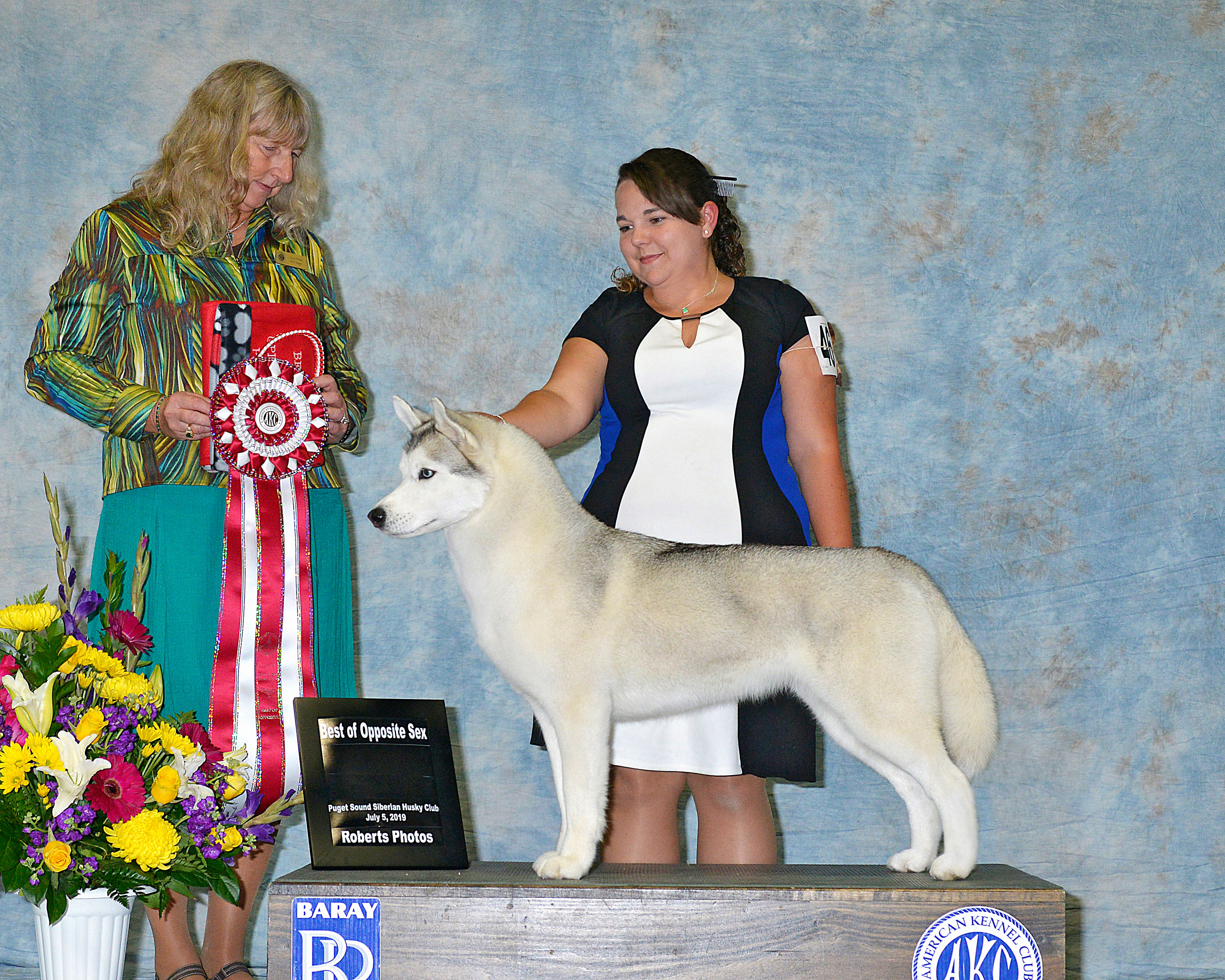 Photo of Silver Falls Another Day In Paradise