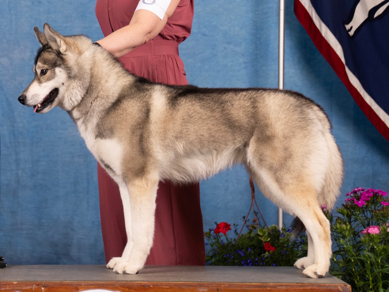 Photo of Yetieska’s Jennifurr Grey