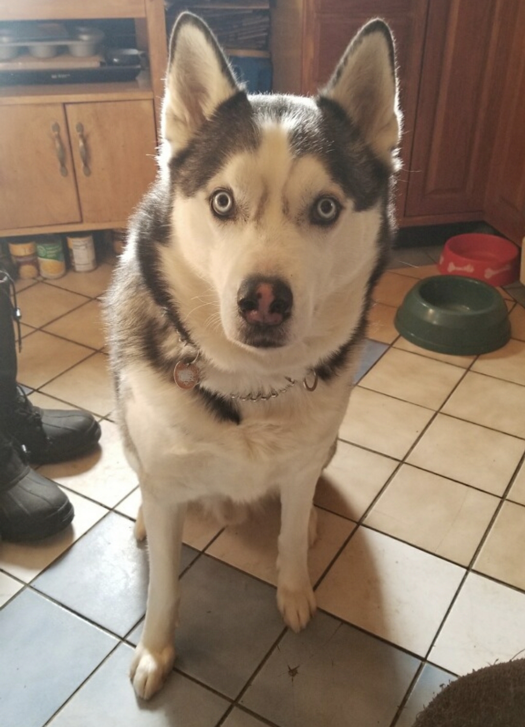 Photo of Thor Thunder God Berk County