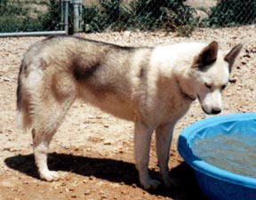 Photo of Kaylenberg's Waneek