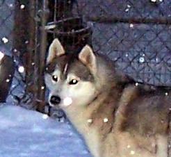 Photo of Kaylenberg's Kozmic Vibe