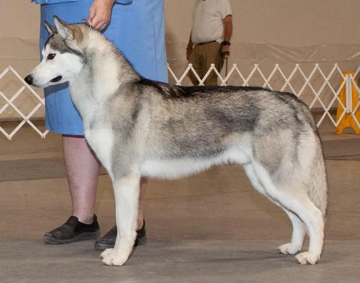 Photo of Yetieska’s You’ve Been Ghosted