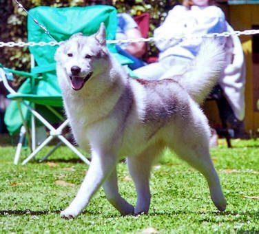 Photo of Kaylenberg's Wicked