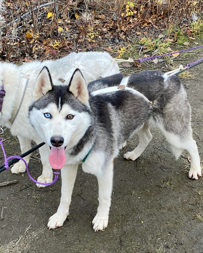 Photo of Kaylenberg's She Persisted