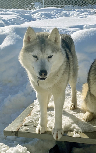 Photo of Kaylenberg's Suspicion Confirmed