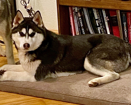 Photo of Kaylenberg's Good Trouble