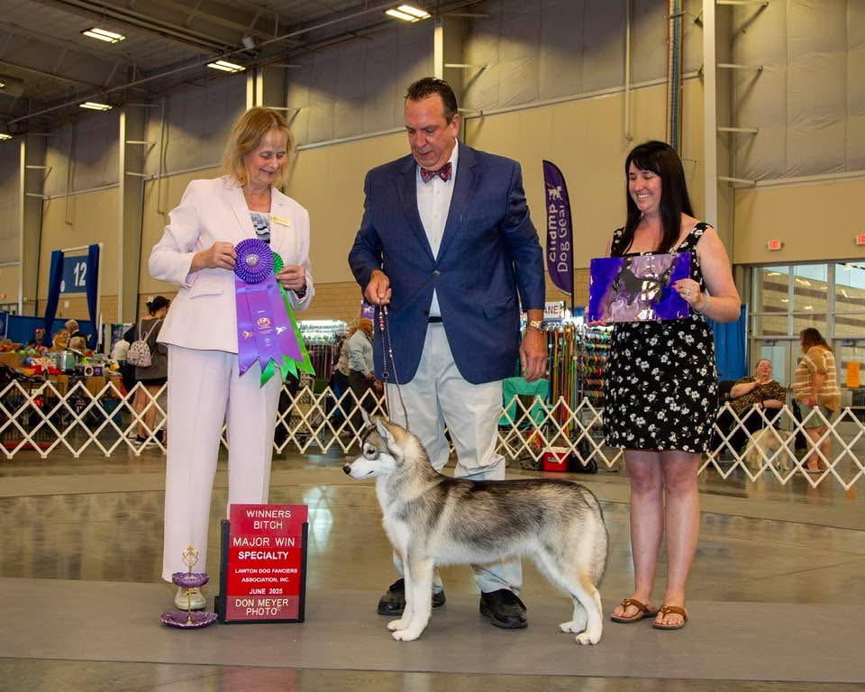 Photo of Pandora's Voodoo