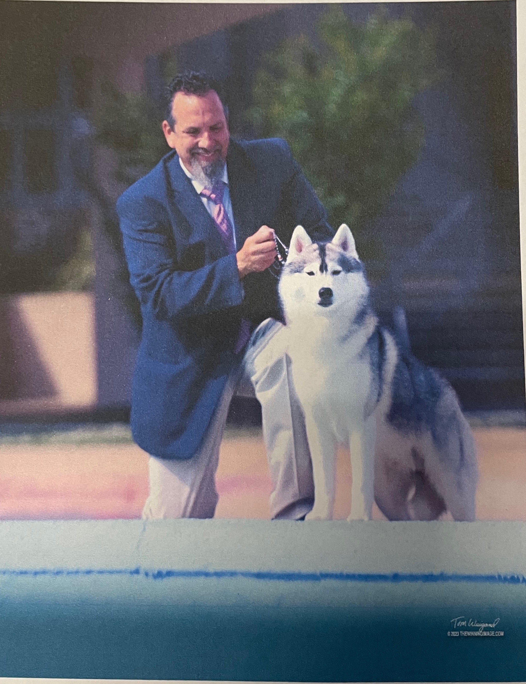 Photo of Pandora's Immortal