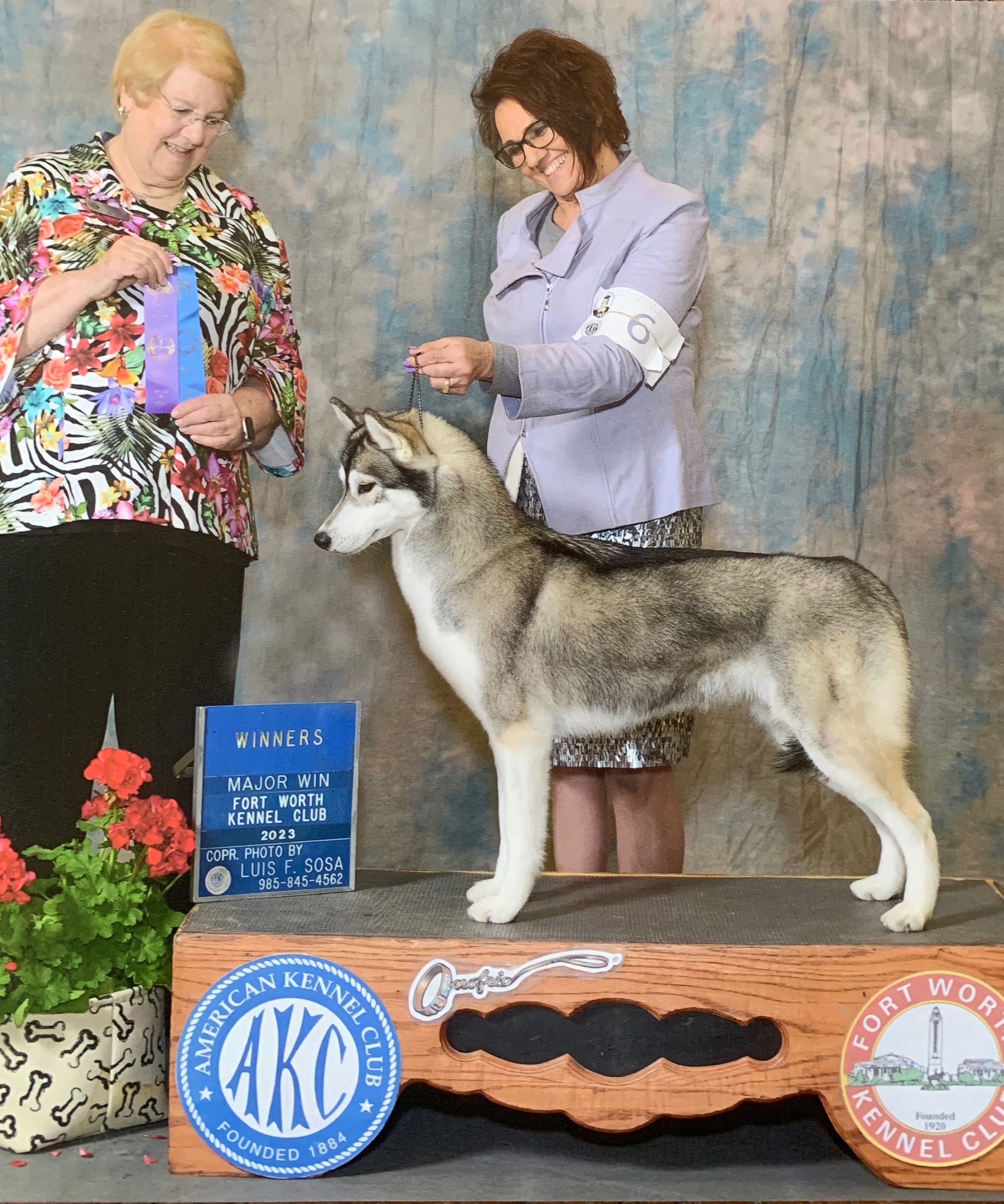 Photo of Pandora's Voodoo Queen