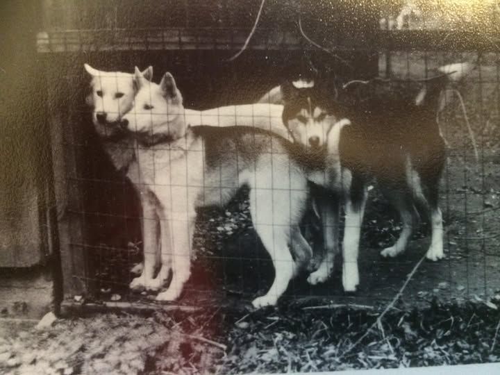 Photo of Nome Billie