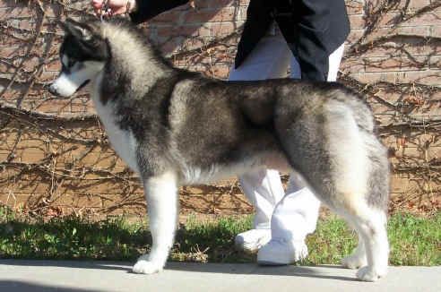 Photo of Regular Power Of Cool Water