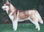 Photo of Chanel de Mainake