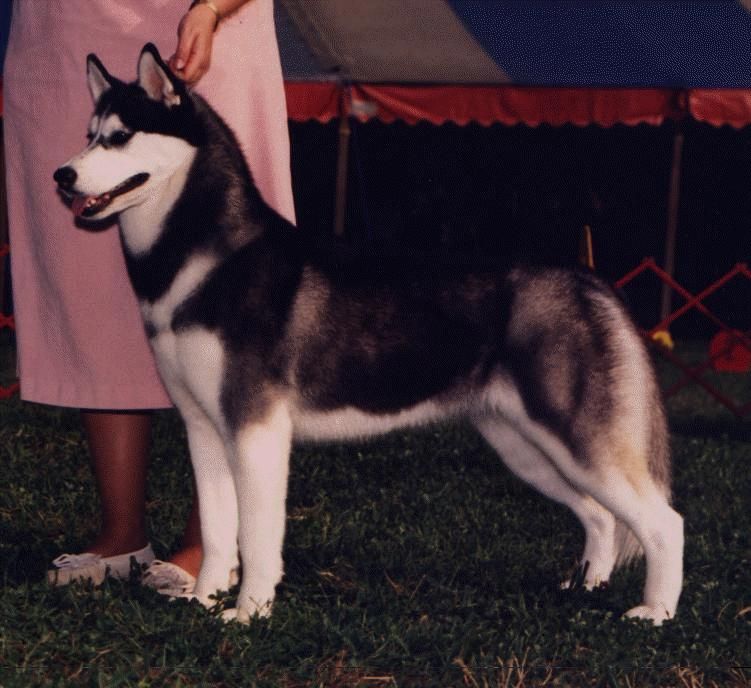 Photo of Sno-Magic’s Good Golly Miz Molly