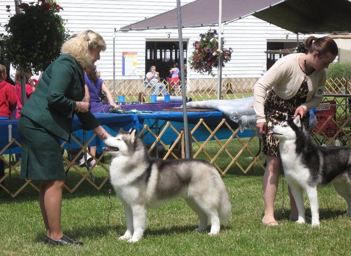 Photo of Kolyma’s Don’t Be Cruel