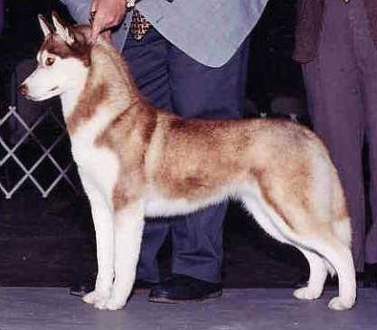 Photo of Kristari’s Fame ’N Fortune