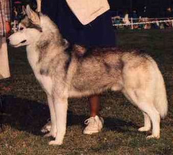 Photo of Innisfree's Mastercard