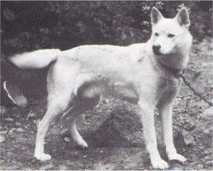 Photo of Zero’s Ruehoe