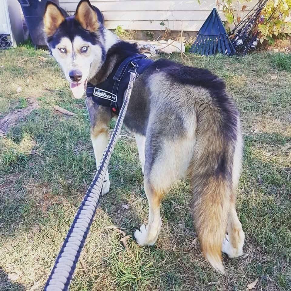 Photo of Amber’s Little Ray Of Sunshine