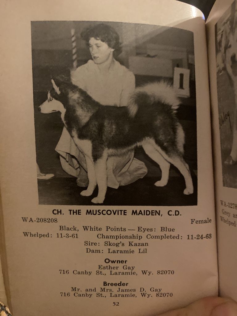Photo of The Muscovite Maiden