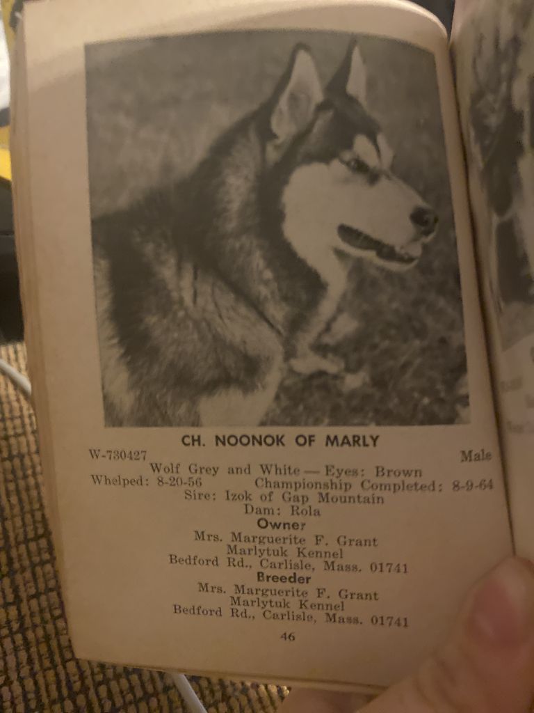 Photo of Noonok Of Marly