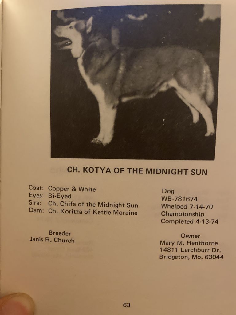 Photo of Kotya of the Midnight Sun