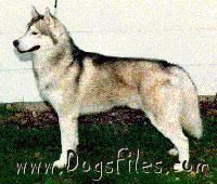 Photo of Marionhill’s Starr Player