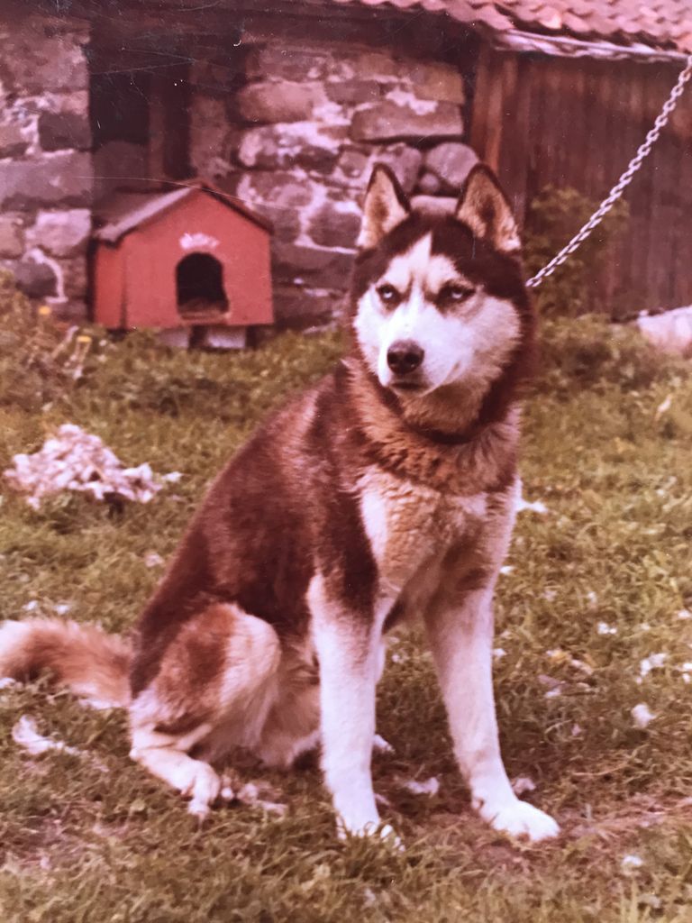 Photo of Lumimaan Ukko-Pekka