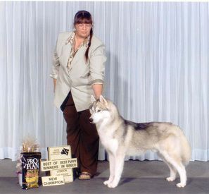 Photo of Tundrafoot’s Off The Wall