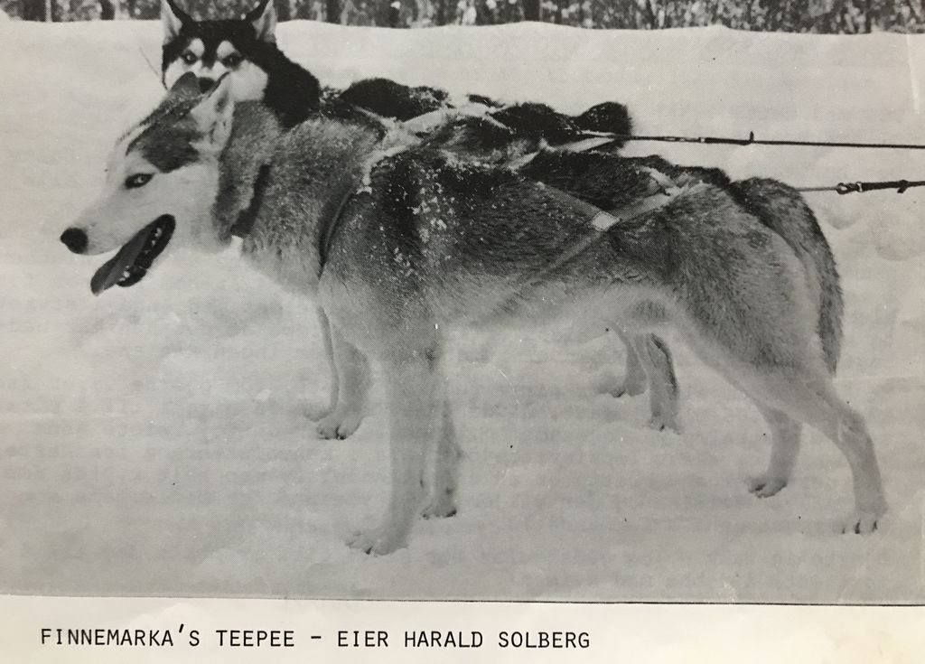Photo of Finnemarka’s Teepee