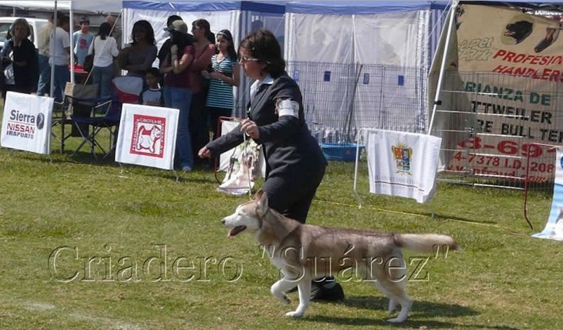 Photo of Angie (Alvarez)