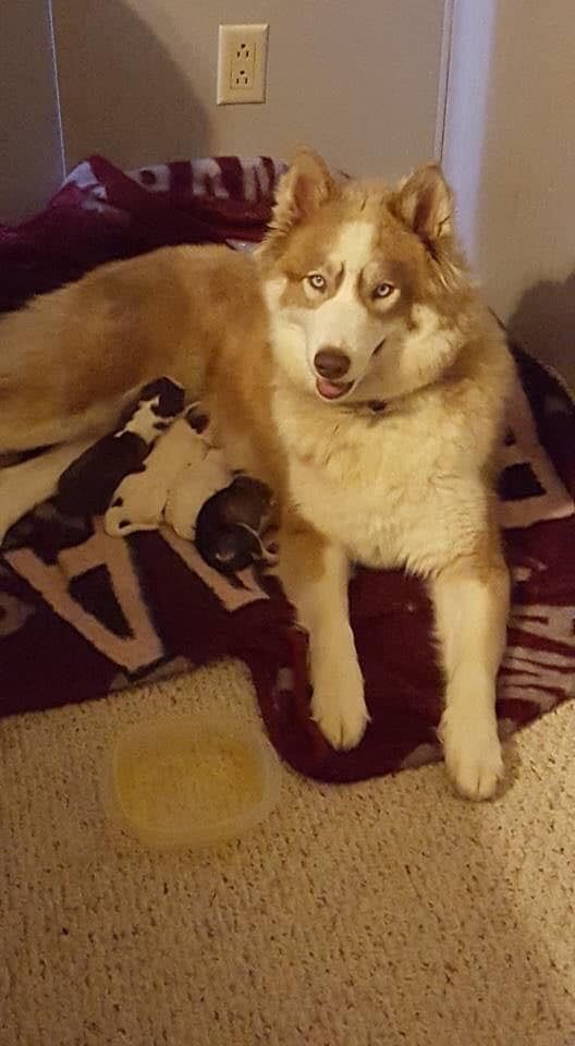 Photo of Princess Cherokee Welden