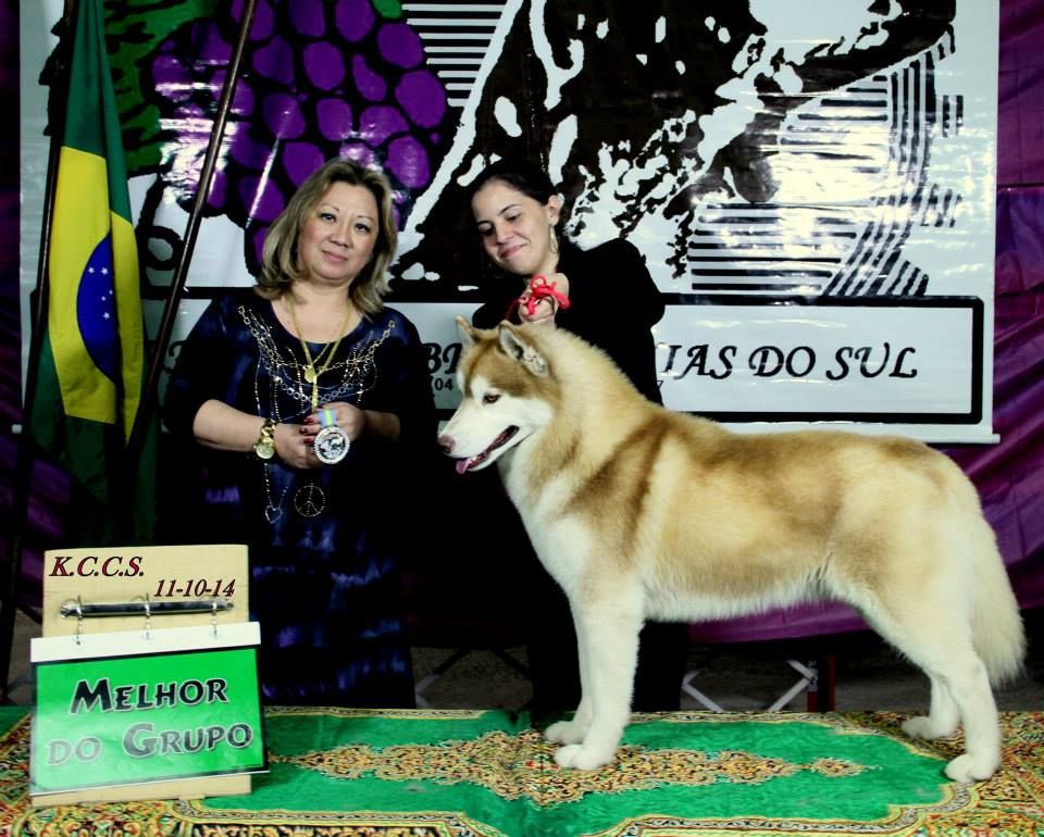 Photo of Verkoiansk´s Wolf Reborn From The Ashes