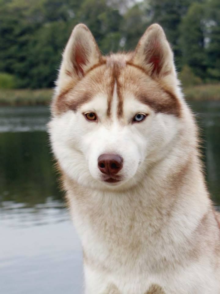 Photo of Liora Anana Amarok